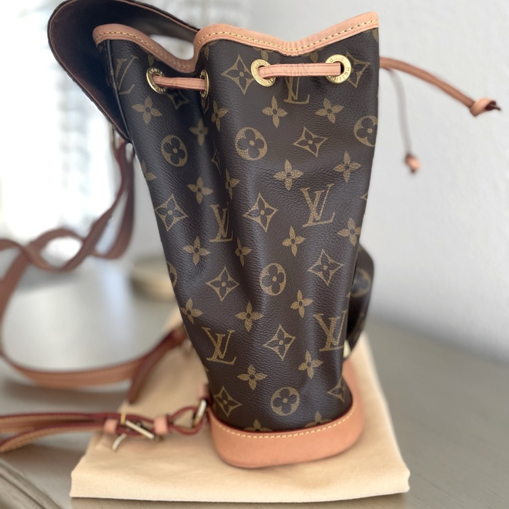 Louis Vuitton Montsouiris Backpack PM - Picture 9 of 16